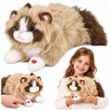 Pluszowy Kotek Maskotka Przytulanka Z Dźwiękami Miauczenia Beżowy 40 cm