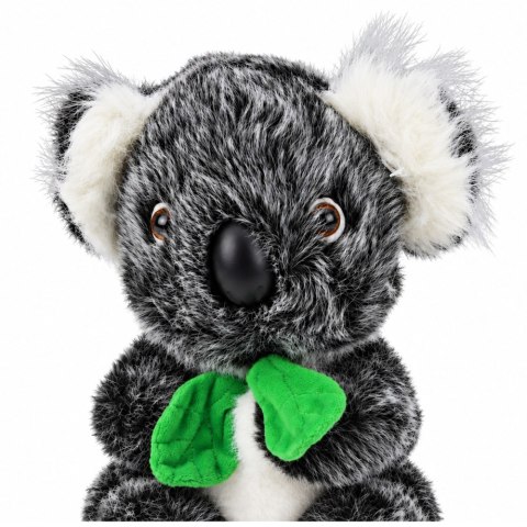 Pluszowy Miś Koala Z Zielonym Szalikiem Przytulanka Maskotka Szary 22cm