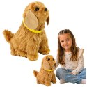 Interaktywny Pies Piesek Cocker Spaniel Pluszowy Szczeka Rusza Ogonem