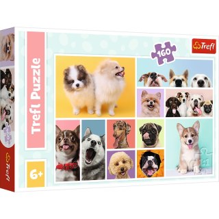 Puzzle - 160 - Psia Przyjaźń - Trefl 15412