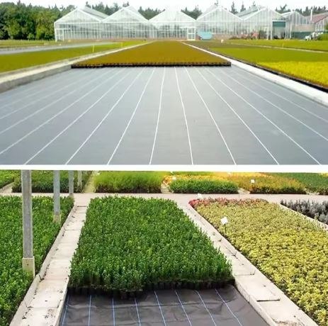 Agrotkanina Czarna 1100cm x 100m UV 135g Antychwastowa Agrowłóknina + Kotwy