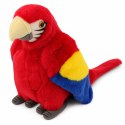 Pluszowa Papuga Ara Ptak Egzotyczny Maskotka Przytulanka Czerwona 24 cm