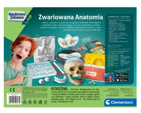 Naukowa Zabawa Zestaw Zwariowana Anatomia Język Polski Clementoni 50697