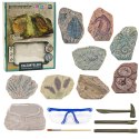 Zestaw Paleontologiczny Wykopaliska Blok Gipsowy Narzędzia