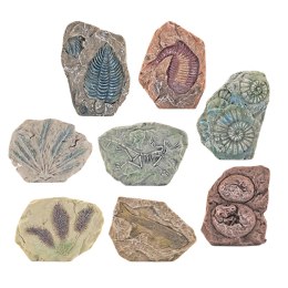 Zestaw Paleontologiczny Wykopaliska Blok Gipsowy Narzędzia