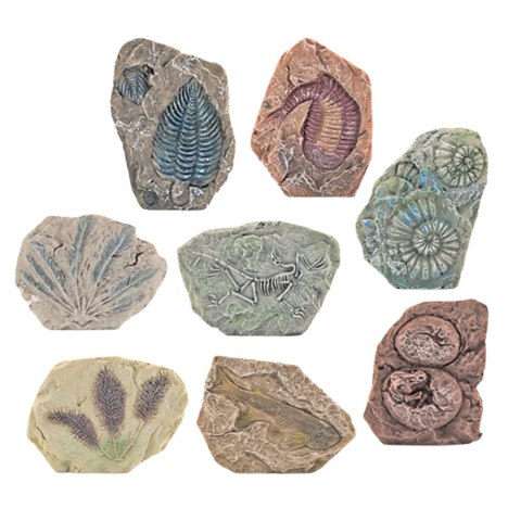 Zestaw Paleontologiczny Wykopaliska Blok Gipsowy Narzędzia