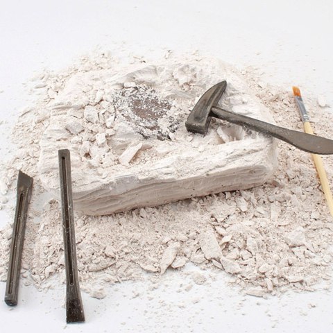 Zestaw Paleontologiczny Wykopaliska Blok Gipsowy Narzędzia